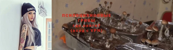 спайс Алзамай